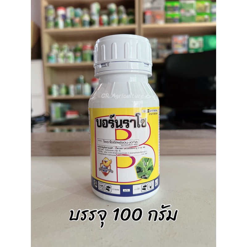 ยาฆ่าหญ้าแห้วหมู-ยาฆ่าหญ้าในนาข้าว-บอร์นราโซ-ไพราโซซัลฟูรอน-เอทิล-10-หญ้าแห้วหมู-ตระกลูกก-ใบกว้าง-100-กรัม