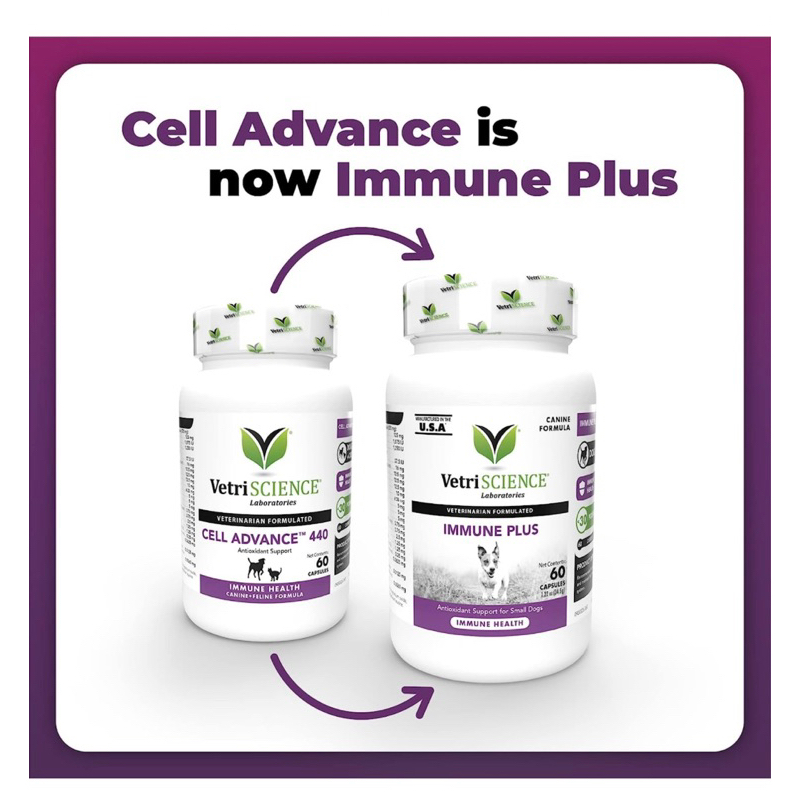 cell-advance-440-เสริมภูมิคุ้มกันสุนัข-นำเข้าจากอเมริกา