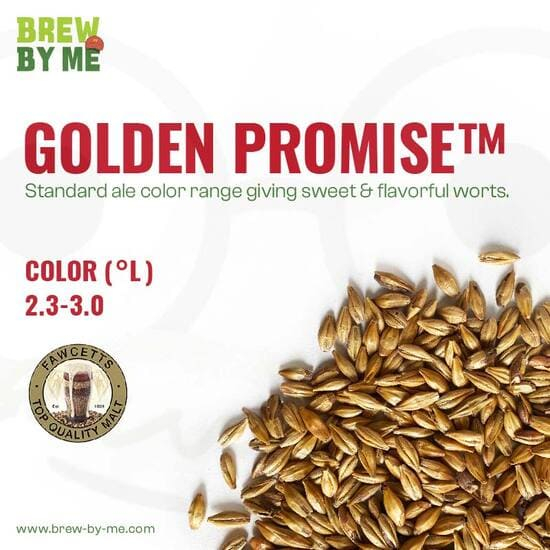 มอลต์-golden-promise-pale-ale-malt-thomas-fawcett-malt-ทำเบียร์