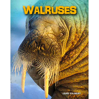 DKTODAY หนังสือ INFOSEARCH LIVING IN THE WILD:WALRUSES