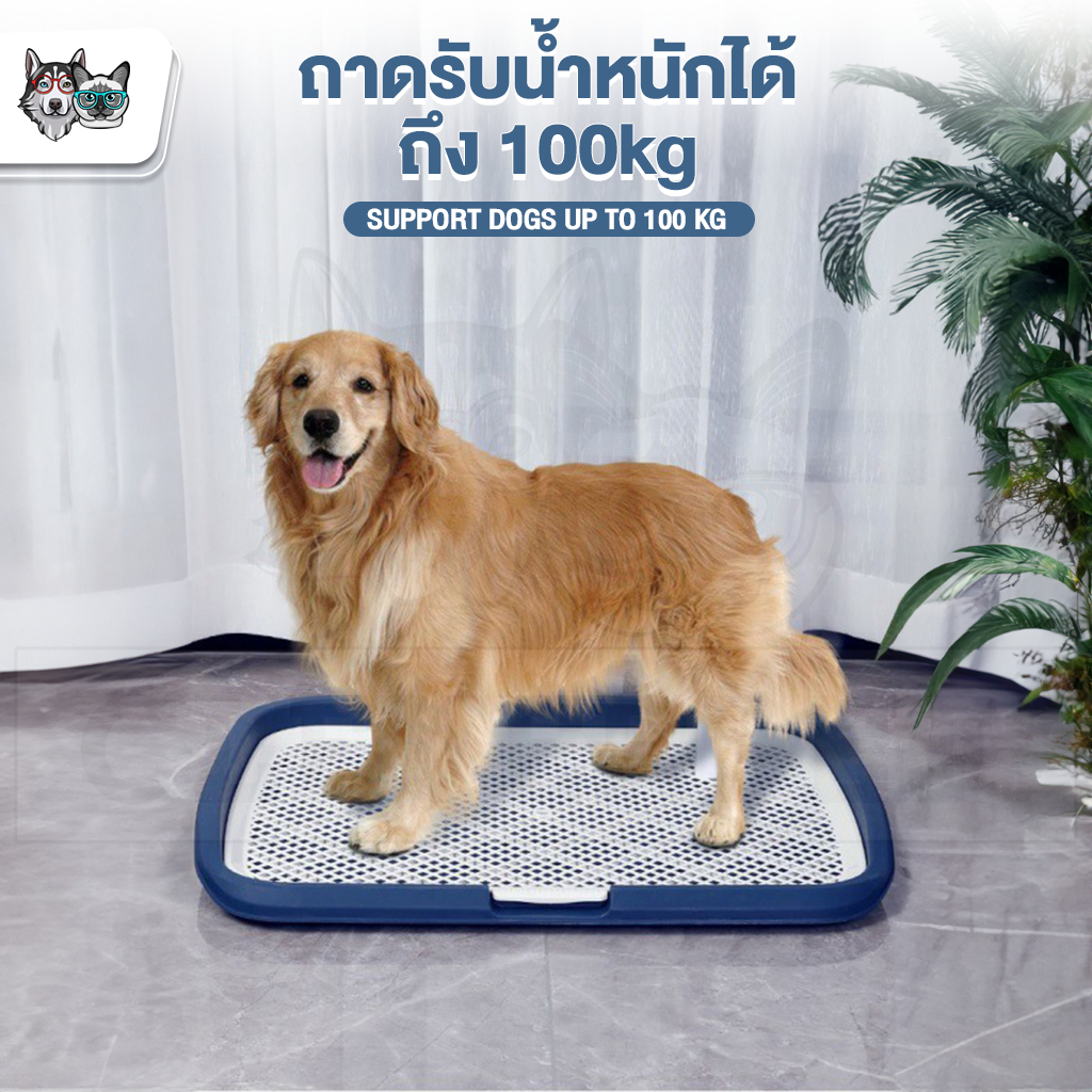 พร้อมส่ง-dog-tray-ห้องน้ำสุนัข-ถาดรองฉี่สุนัข-ถาดรองฉี่สัตว์เลี้ยง-ถาดฉี่หมามีเสา-ถาดรองฉี่พร้อมเสา-cleverpet