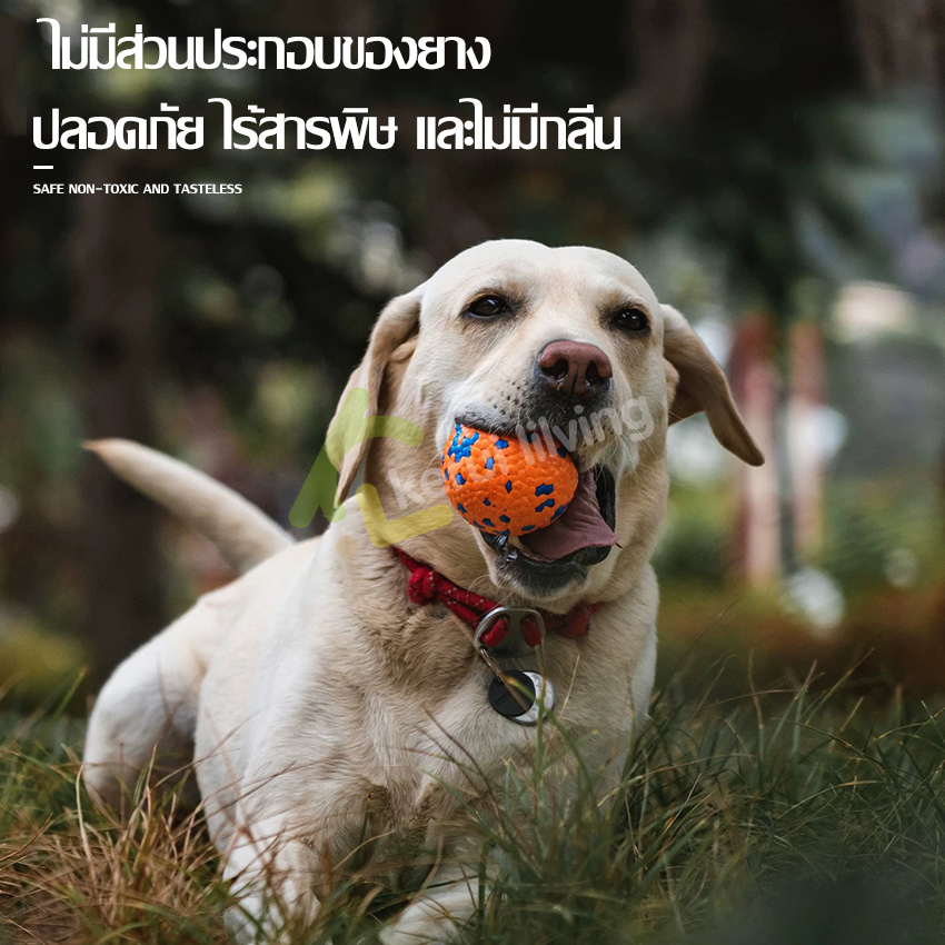 ลูกบอลสุนัข-ยางกัดสุนัข-ลูกบอลยาง-สำหรับโยน-กัดเล่น-บอลยาง-dog-training-ball-ลูกบอลนิ่ม-เคี้ยวเล่นสนุกสนาน-คาบง่าย