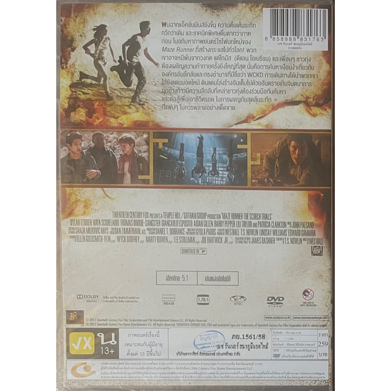 maze-runner-1-3-dvd-thai-audio-only-เมซ-รันเนอร์-1-3-ดีวีดีฉบับพากย์ไทยเท่านั้น