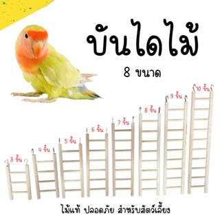 บันไดไม้ ขนาดเสา 1 ซม.จำนวนขั้นไต่ 2/3/4/5/6/7/8/9/10/11 สำหรับนก กระรอก ชูการ์ ไม้ธรรมชาติ ปลอดภัยต่อสัตว์เลี้ยง