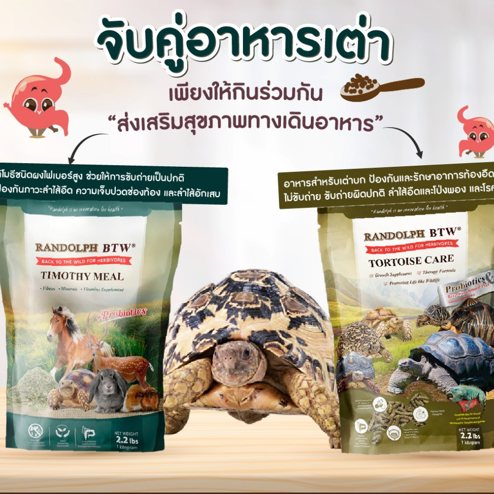 อาหารเต่าบก-เต่าซูคาต้า-อาหารเม็ด-tortiose-care-1-kg