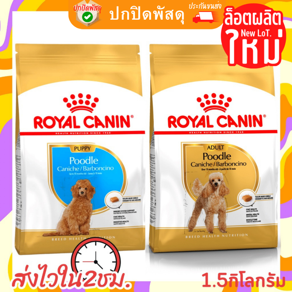 royal-canin-poodle-adult-1-5kg-โรยัล-คานิน-อาหารสุนัข-พุดเดิ้ล-poolde-puppy-พุดเดิล-สุนัขโต-ลูกสุนัข-1-5กิโลก-รอยัล