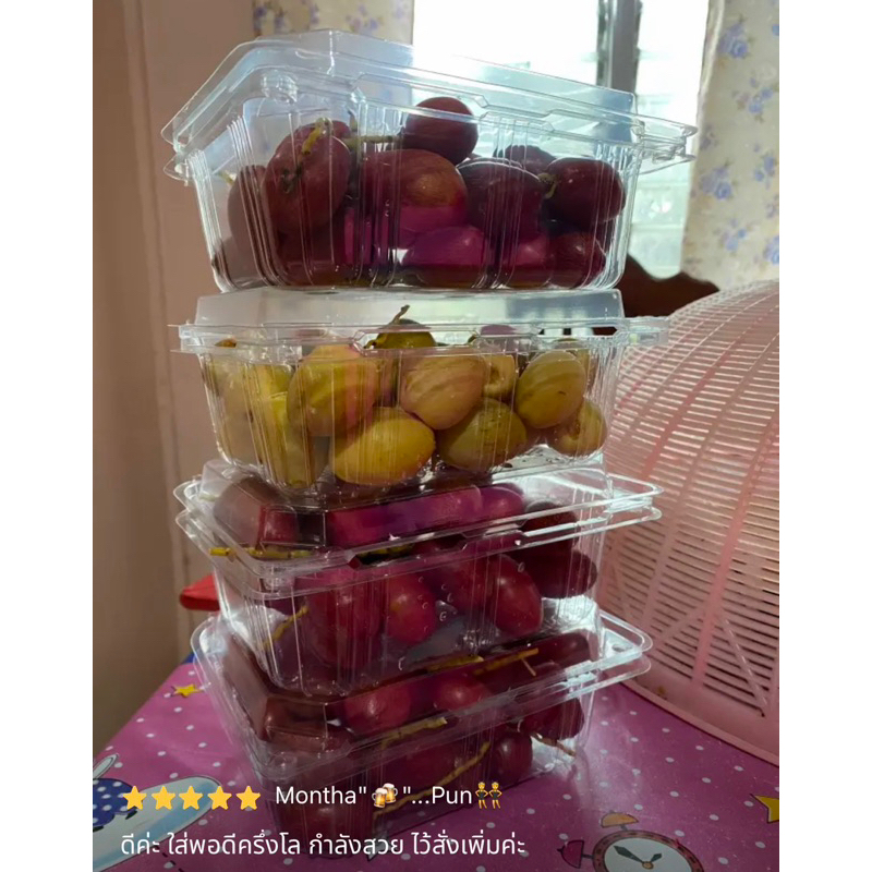 กล่องผลไม้-500-กรัม-pet-เจาะรู-epp-10-500-บรรจุ-50-ใบ-09-1861