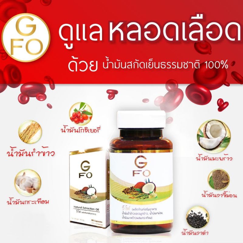 gfo-จีโฟ-น้ำมันสกัดเย็น-6-king-oil-เจ้าแรกในไทย-ช่วยดูแลระบบหลอดเลือด-ดูแลสุขภาพ