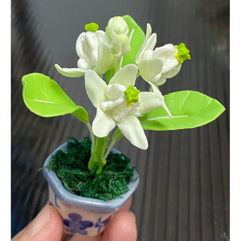 ดอกรักสีขาว-ดอกไม้จิ๋ว-งานฝีมือการประดิษฐ์-ทำจากดินไทย