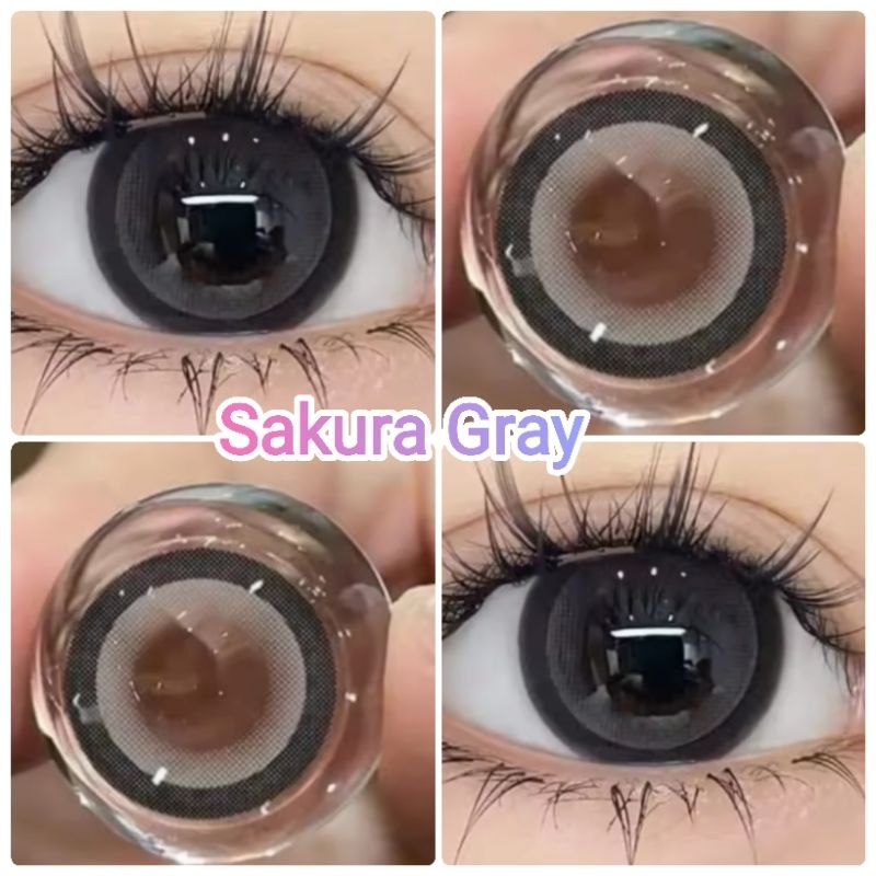 คอนแทคเลนส์-รุ่น-sakura-by-kitty-kawaii-สีเทา-ตาล-gray-brown-มีค่าสายตาปกติ-0-00-เปลี่ยนแทนทุกเดือน