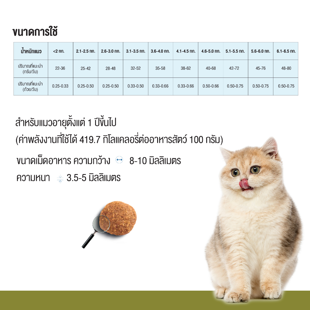 1-free-2-exp14-01-2024-farmina-n-amp-d-ฟาร์มิน่า-เอ็น-amp-ดี-อาหารแมวโต-เป็ด-ฟักทอง-และแคนตาลูปเมลอน-300-g