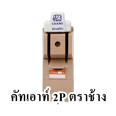 คัทเอาท์-2p-ตราช้าง-30แอมป์-60แอมป์