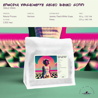 เมล็ดกาแฟ Ethiopia Yirgacheffe Gedeo Banko Gotiti - Natural Process Floral พีช องุ่นขาว | FEET TO THE GROUD [100/200g.]