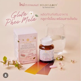 💥[แท้💯%]✨Gluta Pheo Mela MOLECULOGY By Diamond Grains Brand 30 เม็ด⚡