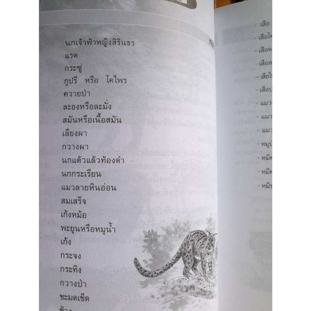 ซื้อคู่ราคาพิเศษ-นกสวย-สัตว์ป่าสงวนและสัตว์ป่าในเมืองไทย-ราคาตามสภาพ