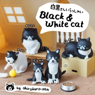 🖤พร้อมส่ง🖤ลิขสิทธิ์แท้ ญี่ปุ่น กาชาปองแมวขาวดำ ผลงาน Shirokurosan มีให้เลือก 4 แบบ