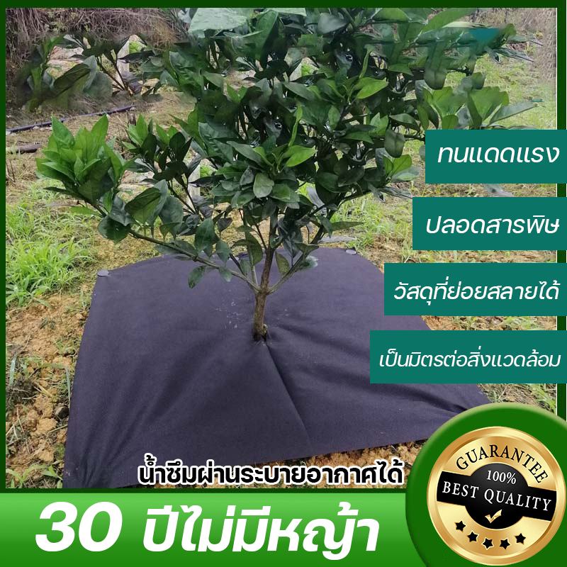 30-ปีไม่มีหญ้า-sc-พลาสติกคลุม-พลาสติกคลุมดิน-พลาสติกคลุมหญ้า-ผ้าคลุมวัชพืช-กำจัดหญ้า-คลุมวัชพืช-ผ้าคลุมดิน-10-15-20แผ