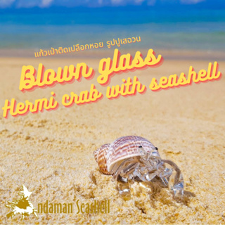 Andaman seashell  แก้วเป่าติดเปลือกหอย รูปปูเสฉวน ติดเปลือกหอย 88