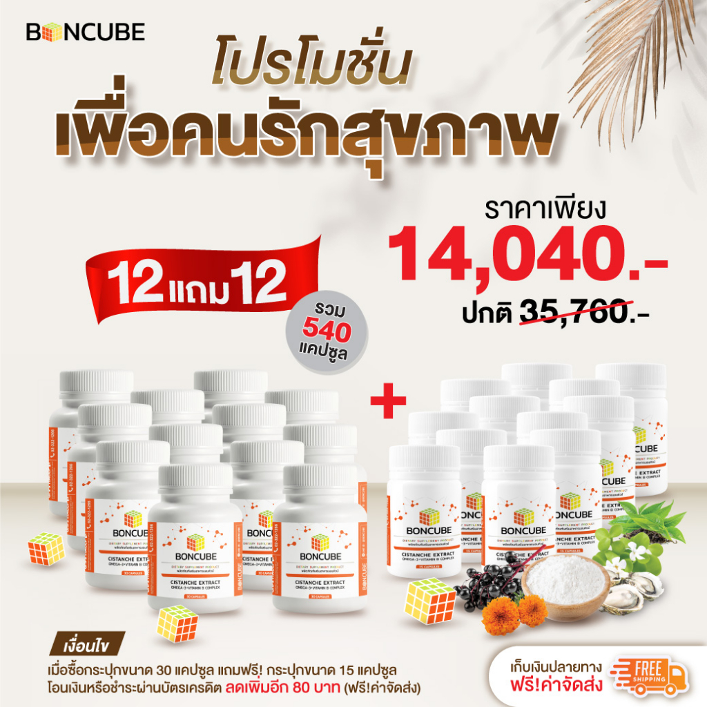 boncube-บอนคิวบ์-บำรุงสมอง