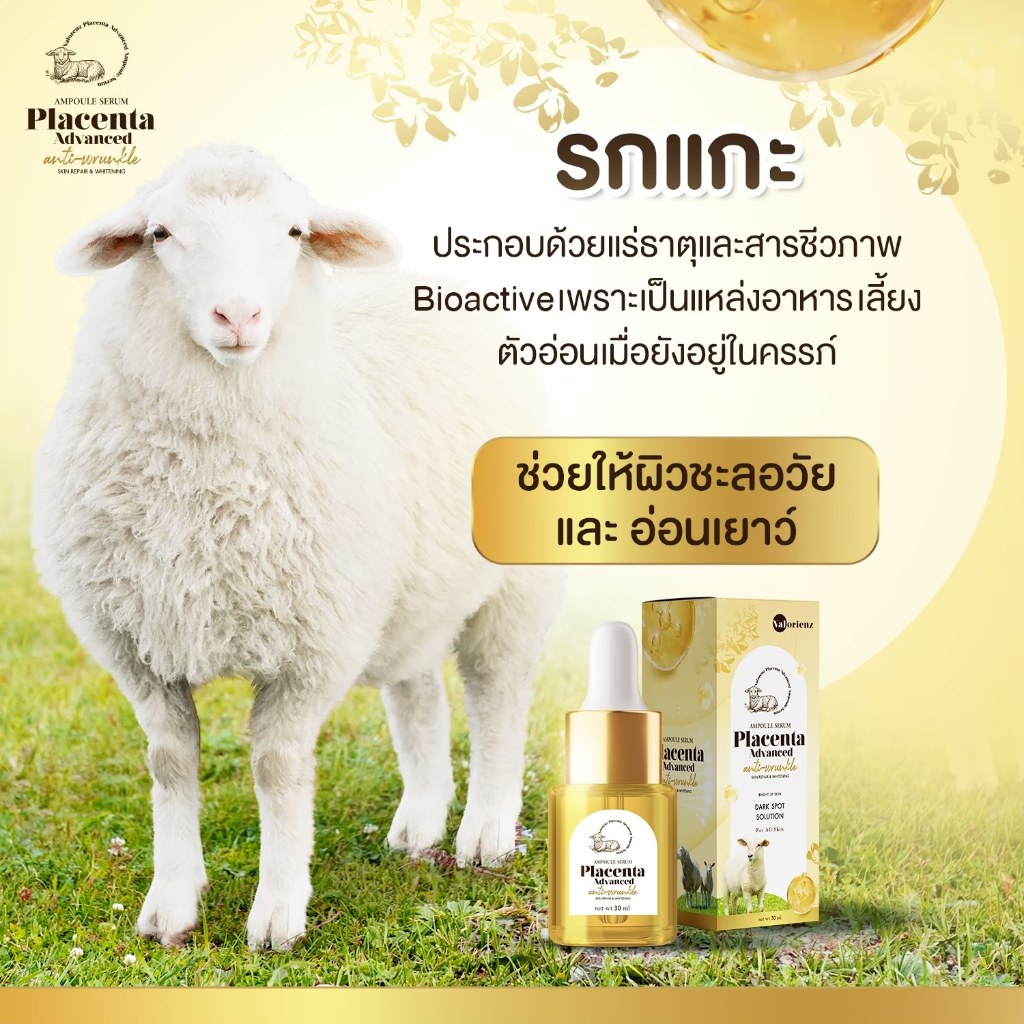 ครีมรกแกะ-plcenta-advanced-แท้100-หน้าใส-แก้ฝ้า-หน้าคล้ำ-ลดสิว-ช่วยให้ผิวหน้ากระจ่างใส