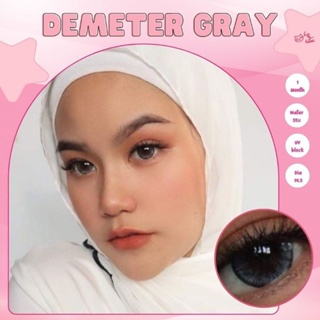 คอนแทคเลนส์ บิ๊กอาย รุ่น Demeter สีเทา/ตาล Gray/Brown มีค่าสายตา (0.00)-(-6.00)