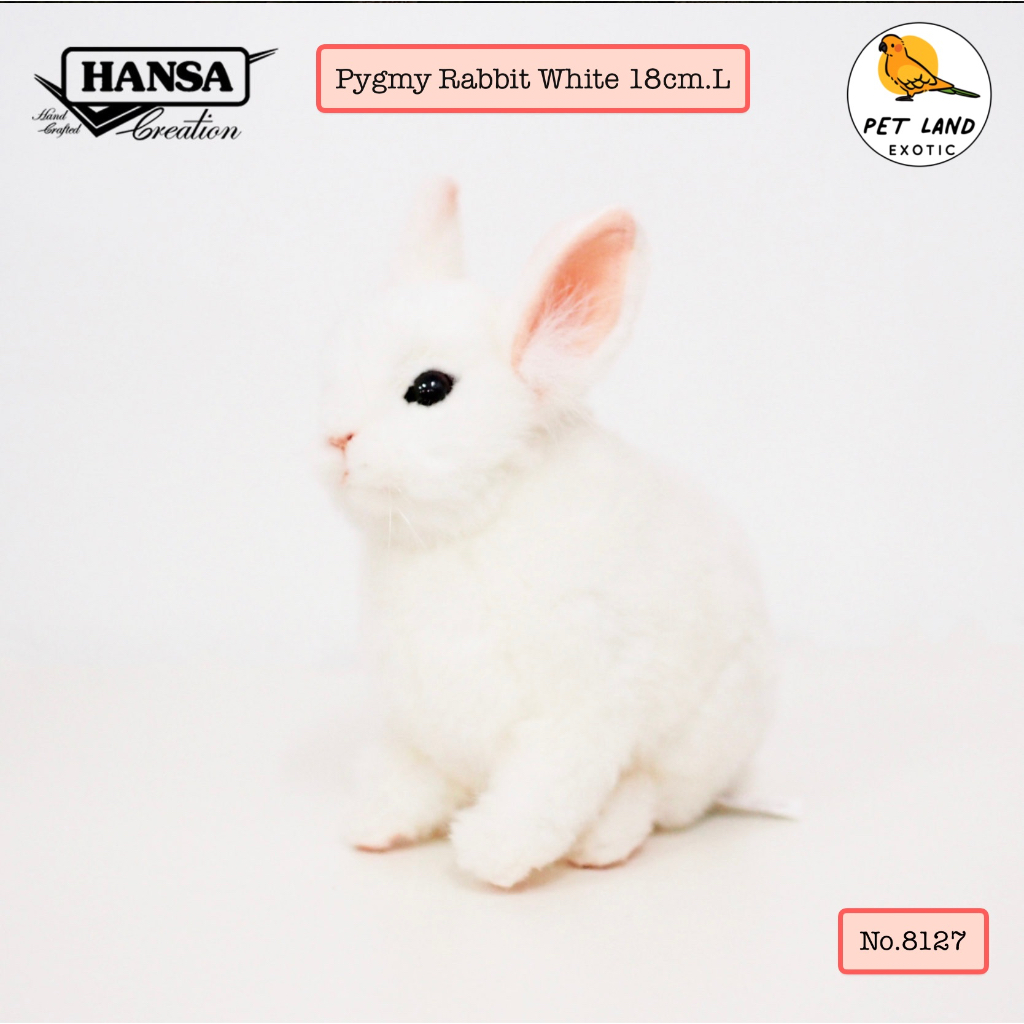Hansa Creation ตุ๊กตากระต่ายแคระเสมือนจริง Pygmy Rabbit White/Cream ...