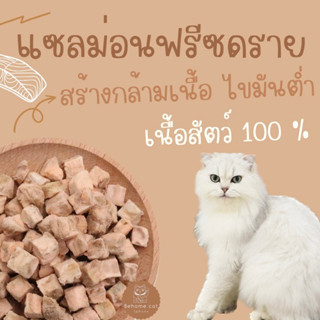 แซลม่อนฟรีซดราย ขนมฟรีซดราย ขนมสำหรับสัตว์เลี้ยง