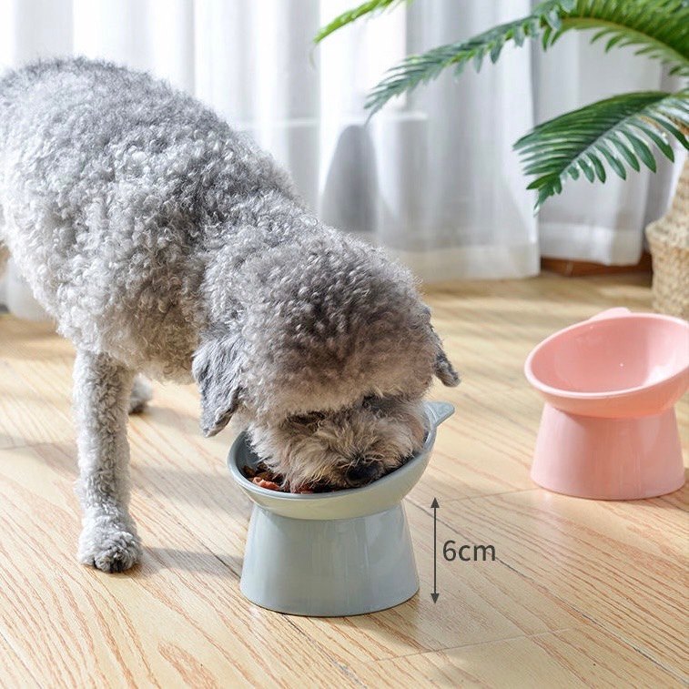ชามอาหารสุนัขและแมวทรงน่ารัก-สไตล์มินิมอล-เครื่องให้อาหารสัตว์เลี้ยง-ของใช้หมาและแมว-อุปกรณ์สัตว์เลี้ยง-ถ้วย