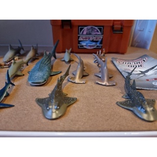 โมเดล sharks of the world sharksbox มือสองญี่ปุ่น ของแท้