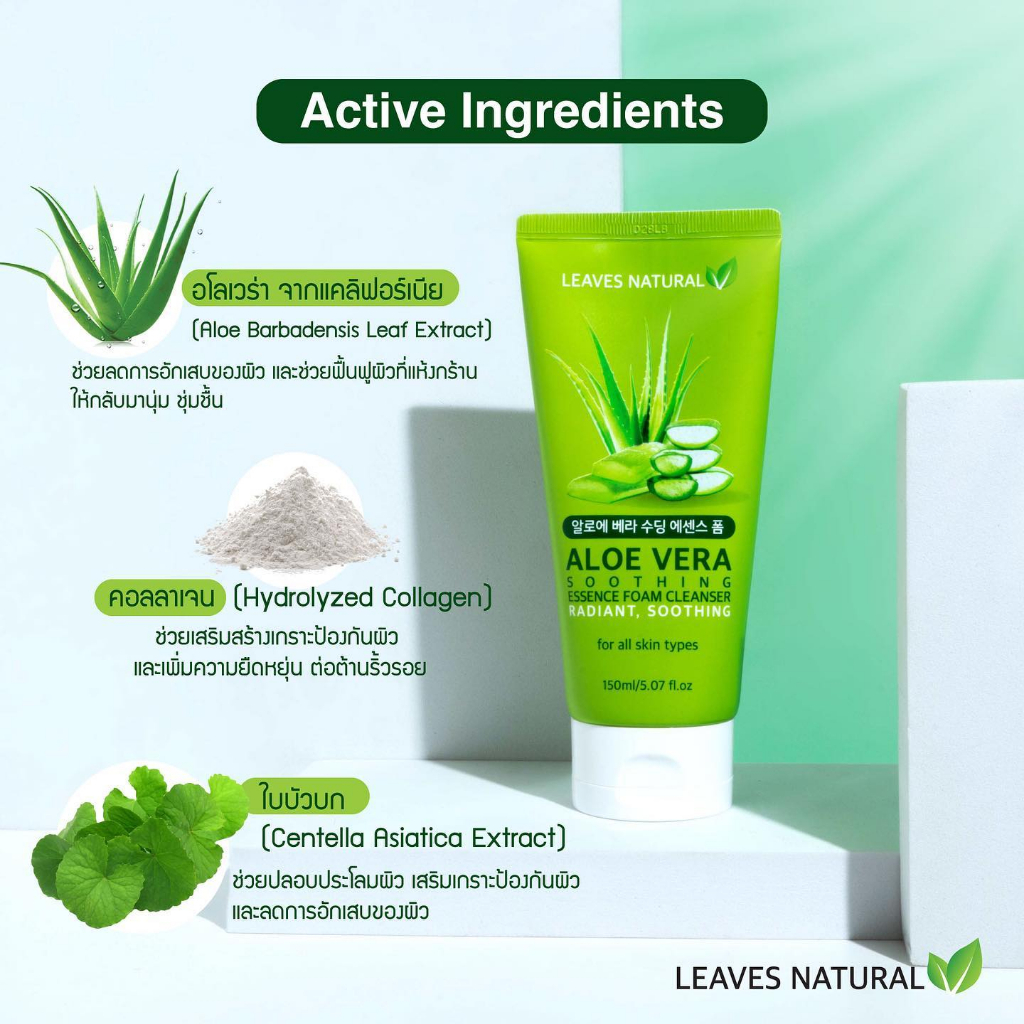 leaves-natural-aloe-vera-soothing-essence-foam-cleanser150ml