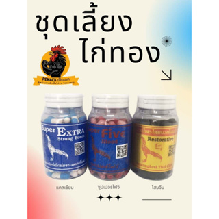 ภาพหน้าปกสินค้าชุดเลี้ยงไก่ทอง ไก่ทองอาหารเสริม ที่เกี่ยวข้อง