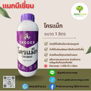 โครแม็ก แมกนีเซี่ยม(1ลิตร) ช่วยให้ใบพืชเขียวเข้มสมบูรณ์ ทำให้ใบอ่อนพัฒนาเป็นใบแก่เร็วขึ้น เพิ่มการสะสมอาหาร