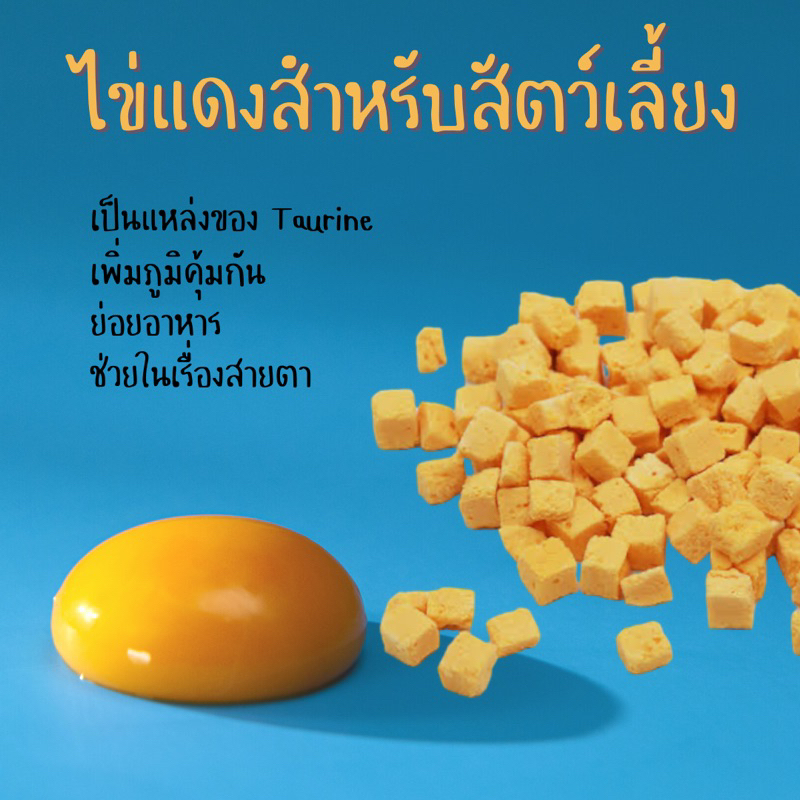 ไข่แดงฟรีซดราย-ขนมแมวขนมสัตว์เลี้ยง