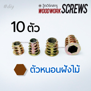 ภาพหน้าปกสินค้าตัวหนอนฝังไม้ หกเหลี่ยม 10ตัว พุกเกลียวฝังไม้ ใช้สกรูเกลียวมิล ตัวหนอน สกรูน๊อคดาวน์ ประกอบโต๊ะตู้ ขันน๊อตฝังเนื้อไม้ พุกตัวหนอนเกลียวใน ที่เกี่ยวข้อง