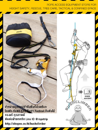 Petzl แท้จากบริษัท!! อุปกรณ์ไต่เชือก ล็อคเชือก บริเวณเข่า Petzl KNEE ASCENT LOOP for Tree care D022DA00