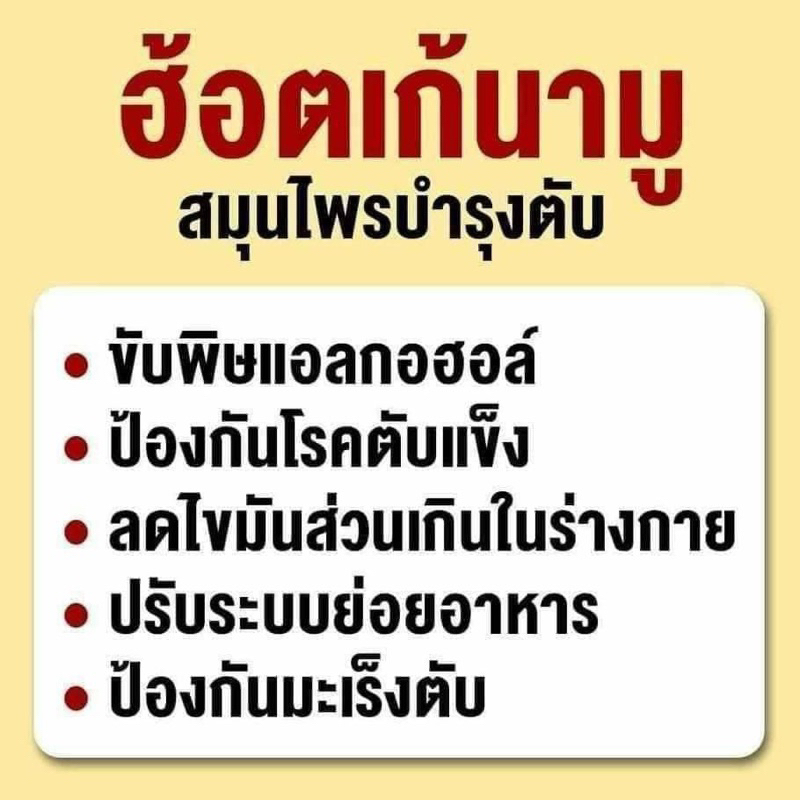 ฮ็อกเกตนามูบำรุงตับจากเกาหลี-ของแท้-100