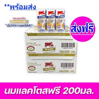 [ส่งฟรี!]x2ลัง Thai Denmark Lactosetree นมวัวแดง แลคโตสฟรี  ขนาด 200มล. (ยกลัง x2ลัง รวม : 72 กล่อง)