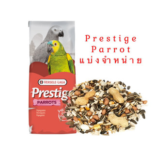 ภาพขนาดย่อของภาพหน้าปกสินค้าParrot Aอาหารนกแก้ว สูตรธัญพืช Beyers Thailand Parrot Seed Mix Bird 1kg จากร้าน cocoshop_by1 บน Shopee