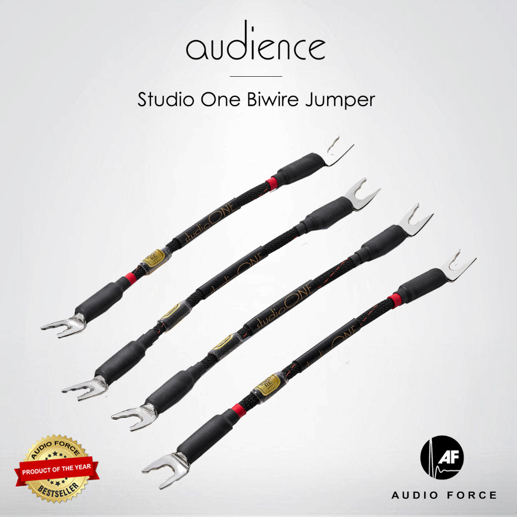 audience-studioone-jumper-biwire