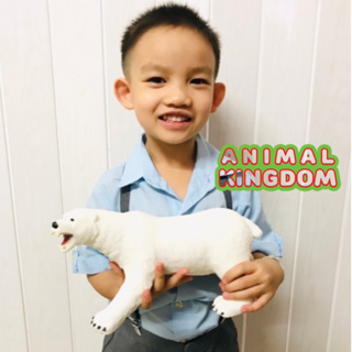 Animal Kingdom - โมเดลสัตว์ หมีโพล่า ขนาด 28.00 CM (จากหาดใหญ่)