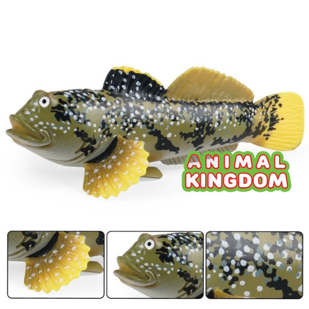 animal-kingdom-โมเดลสัตว์-ปลาตีน-ขนาด-11-00-cm-จากหาดใหญ่