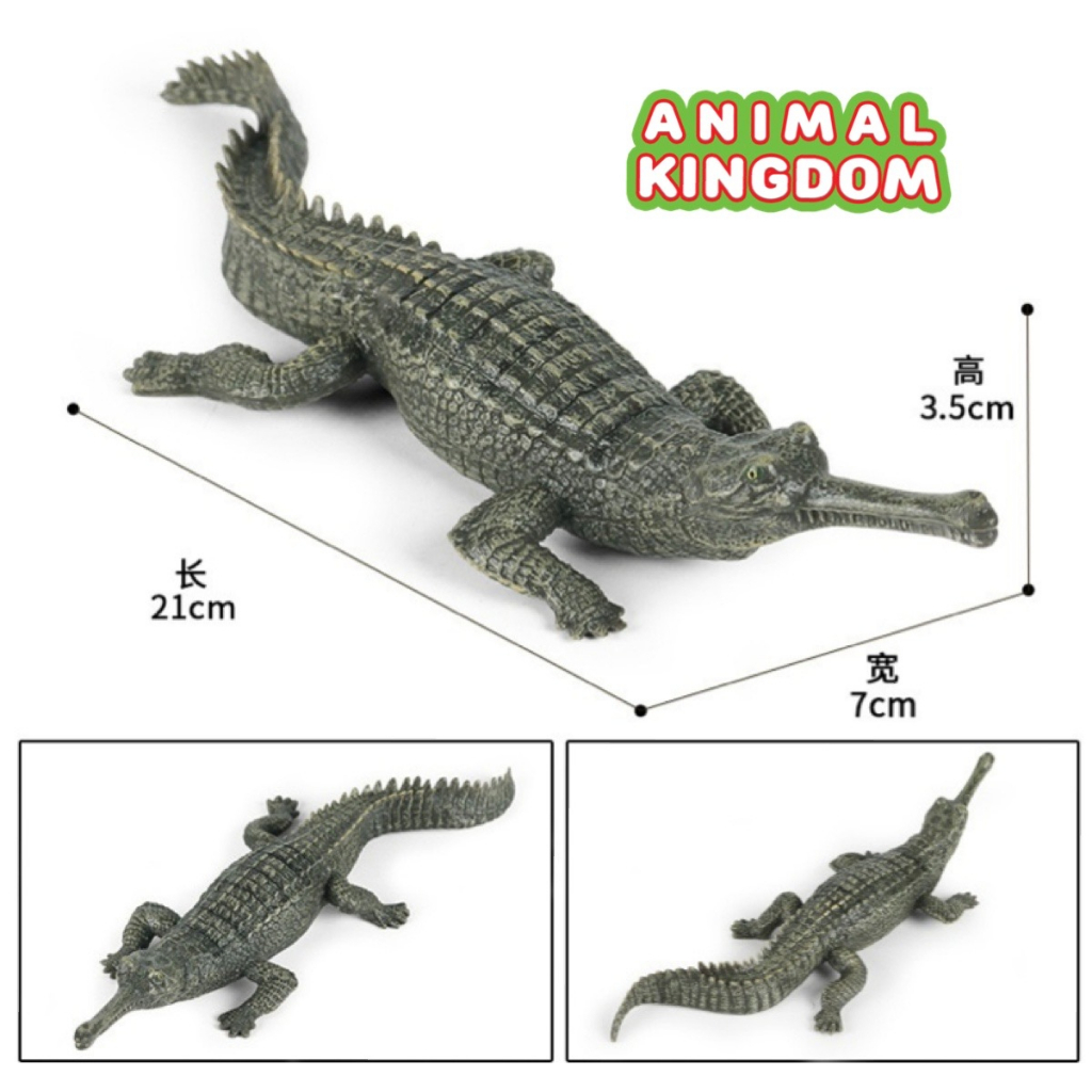 animal-kingdom-โมเดลสัตว์-ตะโขง-เขียว-ขนาด-21-00-cm-จากหาดใหญ่