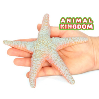 Animal Kingdom - โมเดลสัตว์ ปลาดาว เทา ขนาด 16.00 CM (จากสงขลา)