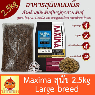 Maxima Dog Food 2.5kg อาหารสุนัข พันธุ์ใหญ่ สุนัขโต รสแกะ อาหารหมาเล็ก สุนัข หมา แม็กซิมา บำรุงผิวหนัง ขน ระบบขับถ่าย