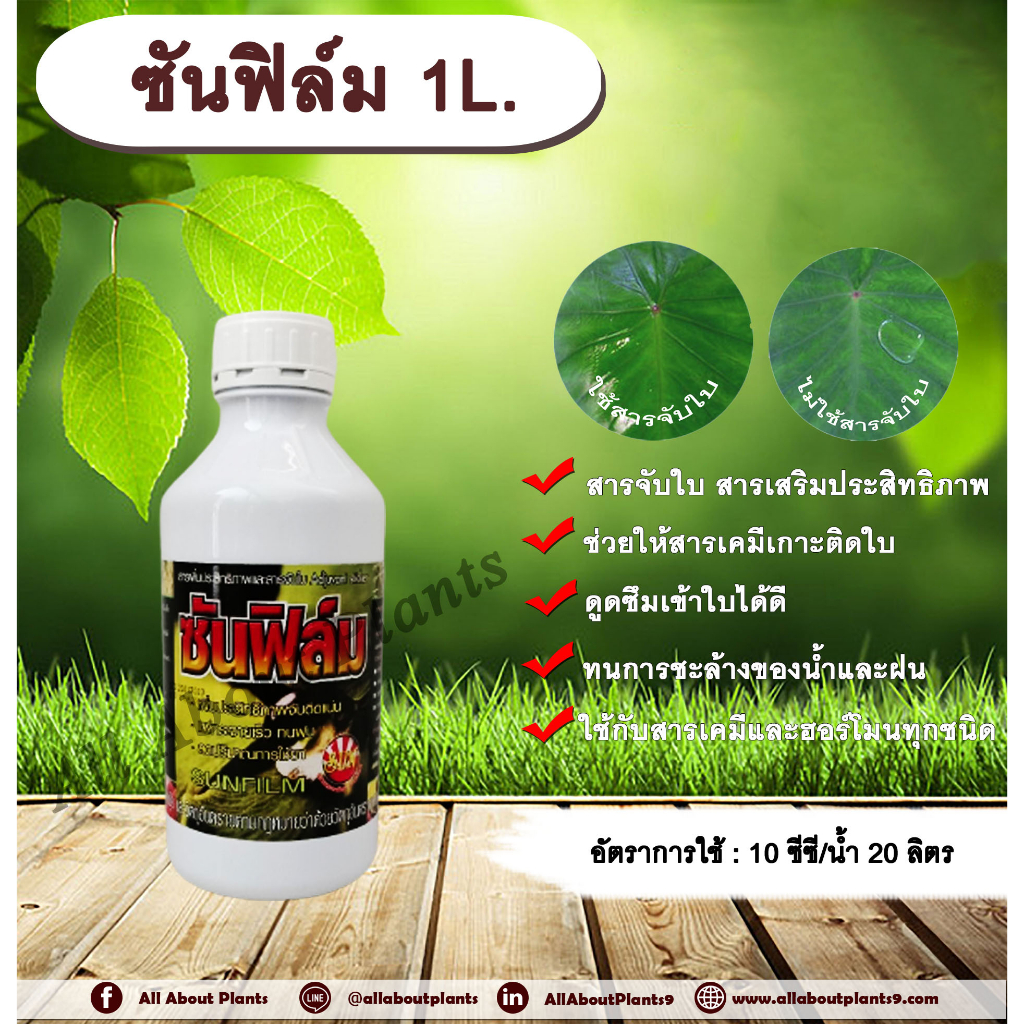 ซันฟิล์ม-1l-สารจับใบ-สารเคลือบใบ-สารเสริมประสิทธิภาพทางใบ-สารเคมีเกาะติดใบพืช