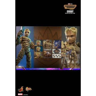 พรีออเดอร์ HOT TOYS MMS706 GUARDIANS OF THE GALAXY VOL. 3 GROOT 1/6TH SCALE COLLECTIBLE FIGURE