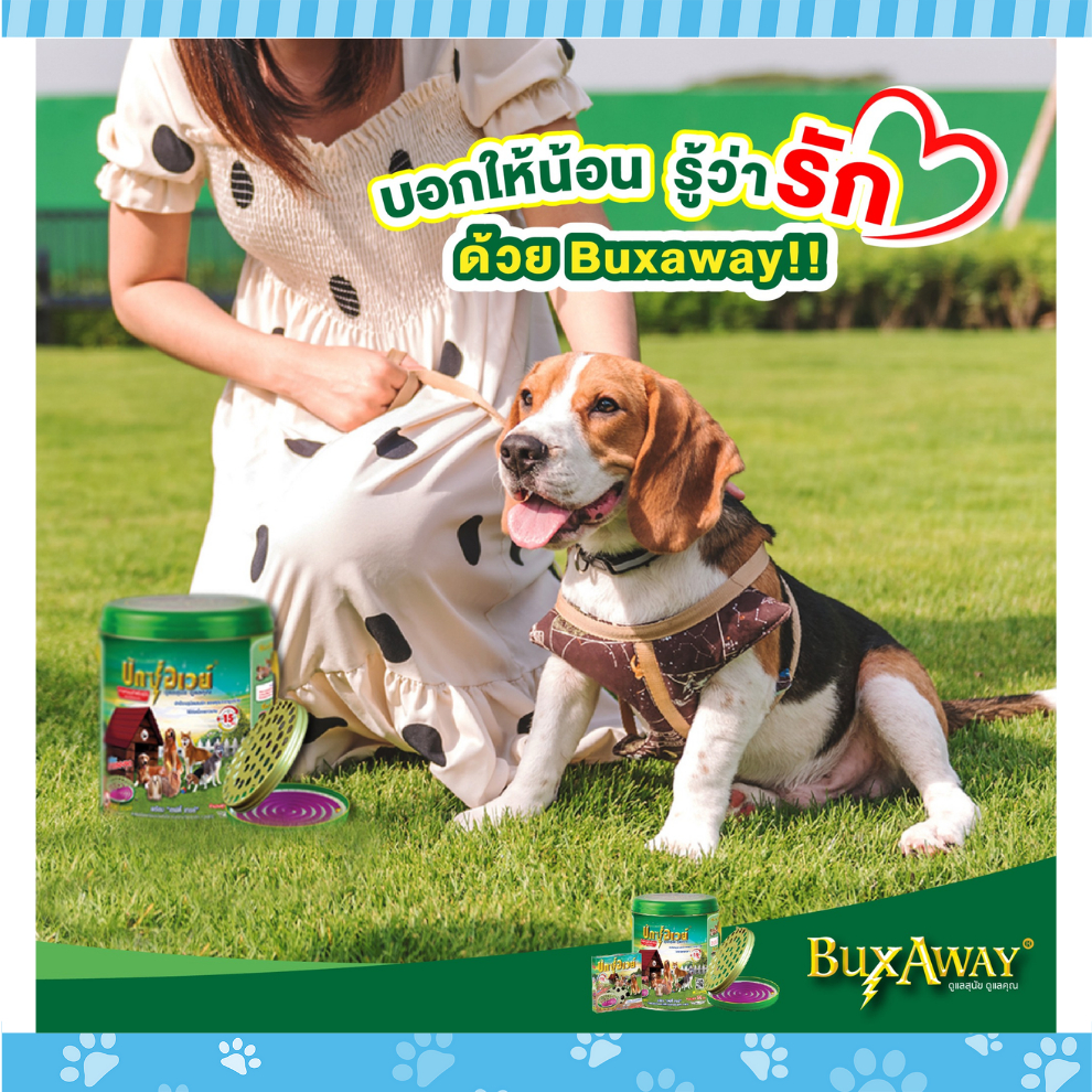 buxaway-ยาจุดกันยุงบักซ์อเวย์-สำหรับสุนัขและแมว-รุ่น-can-พร้อม-safety-tray-ขนาด-1-กล่อง-บรรจุ-56-ขด