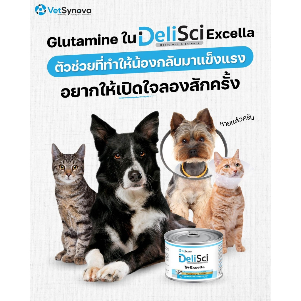 delisci-excella-185g-แพ็ค1-3กระป๋อง-exp-05-2025-อาหารเปียกบำรุงสัตว์ป่วย