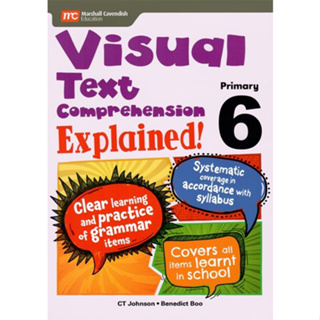 Visual Text Comprehension Explained! P6