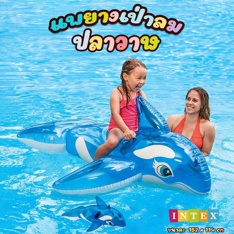 intex-แพยางเป่าลม-วาฬดำ-วาฬฟ้า